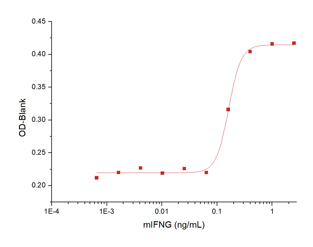 IFN gamma Protein, Mouse, Recombinant