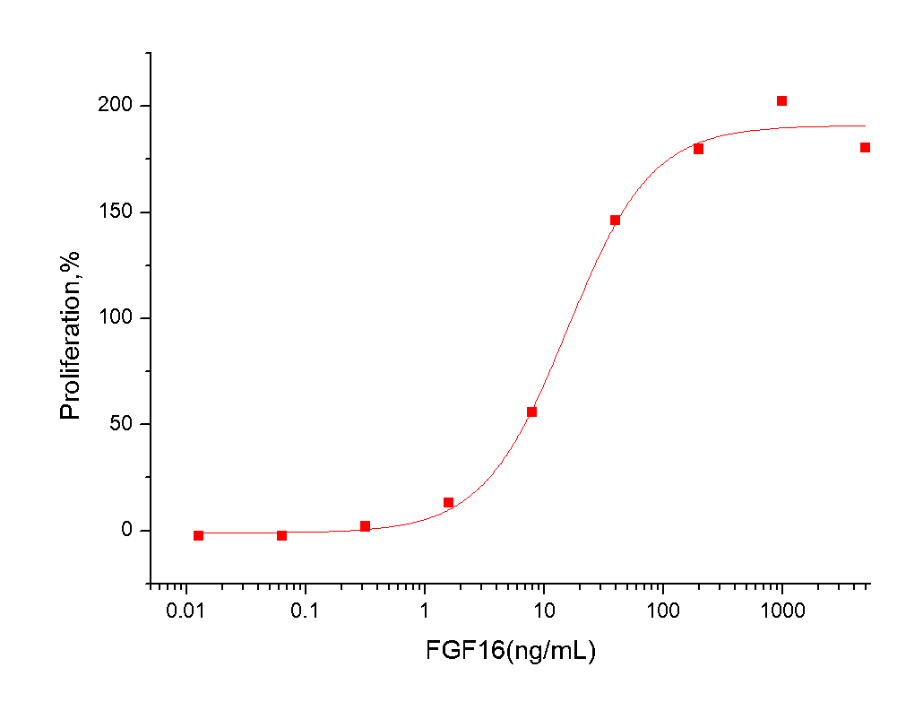 FGF-16 Protein, Human, Cynomolgus, Recombinant