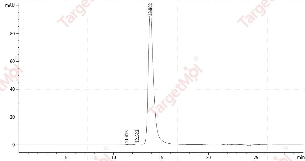 R-Spondin 1/RSPO1 Protein, Human, Recombinant