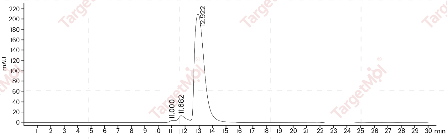 Siglec-2/CD22 Protein, Human, Recombinant (His)