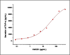 HMGB1 Protein, Human, Recombinant (aa 1-215, His)