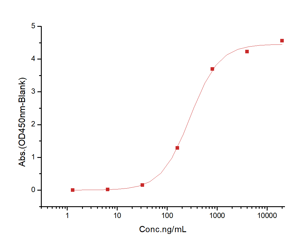 EGFR Protein, Cynomolgus, Recombinant (His)