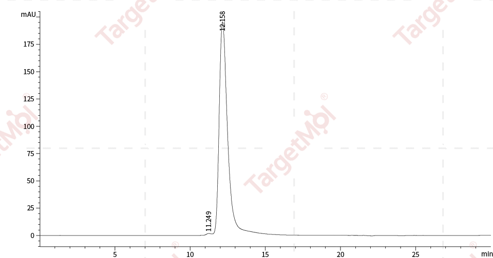 EPO/Erythropoietin Protein, Human, Recombinant (hFc)