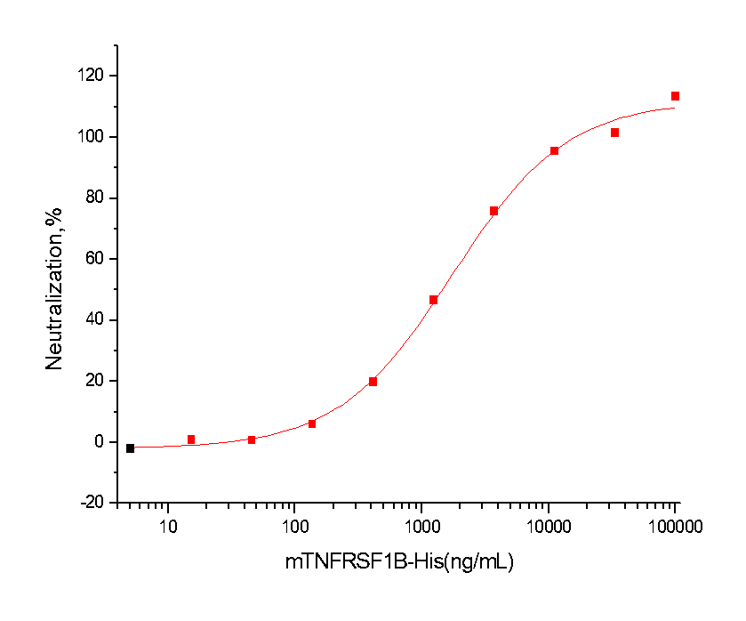 TNFR2/CD120b/TNFR1B Protein, Mouse, Recombinant (His)