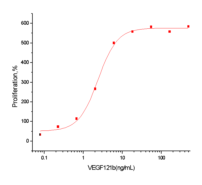 VEGF121b Protein, Human, Recombinant