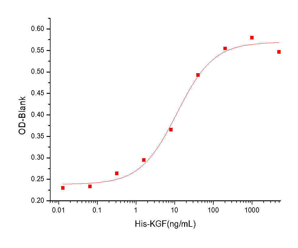 FGF-7/KGF Protein, Human, Recombinant (His)