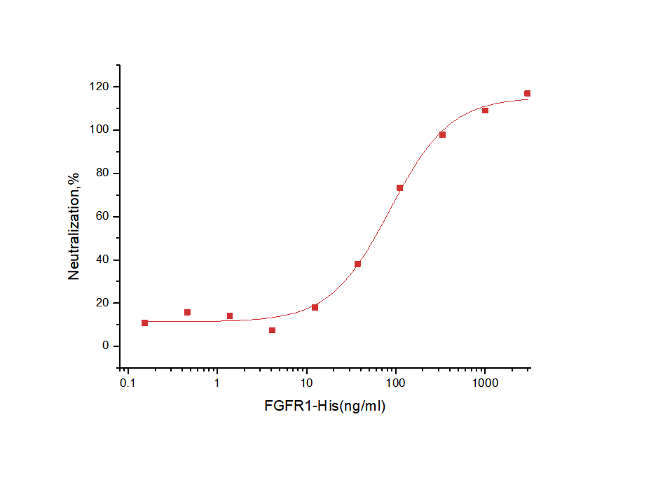 FGFR1 Protein, Human, Recombinant (His)