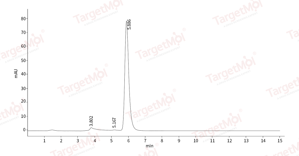 HSP90 alpha Protein, Human, Recombinant