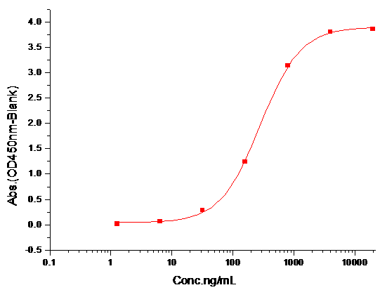 CD40 Ligand Protein, Human, Recombinant (hFc)