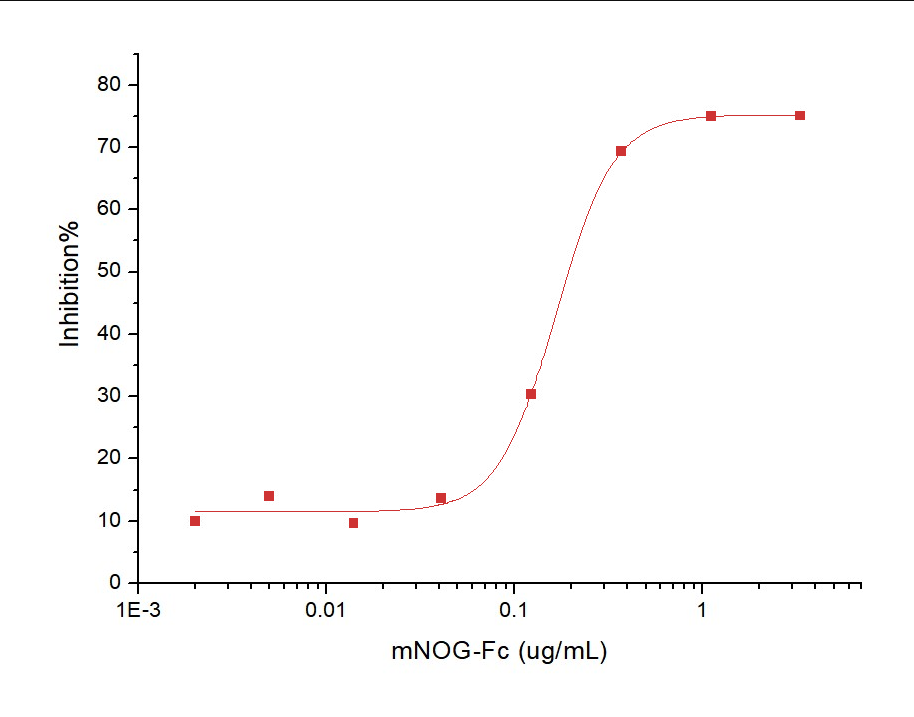 Noggin/NOG Protein, Mouse, Recombinant (hFc)