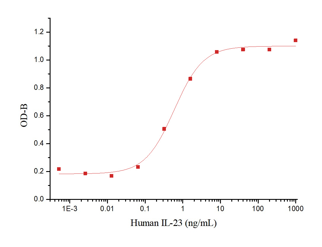 IL-23 Protein, Human, Recombinant (His)