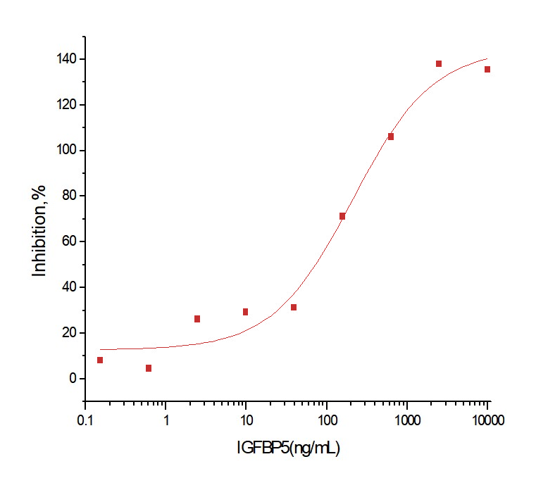 IGFBP-5 Protein, Human, Recombinant (His)