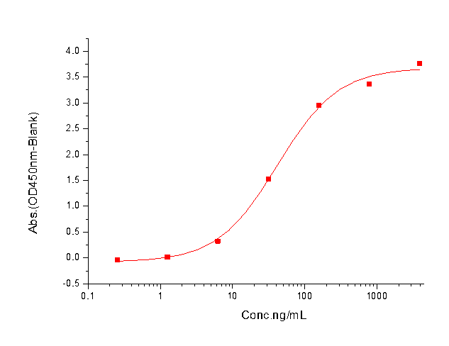 Neuropilin-1 Protein, Mouse, Recombinant (His)