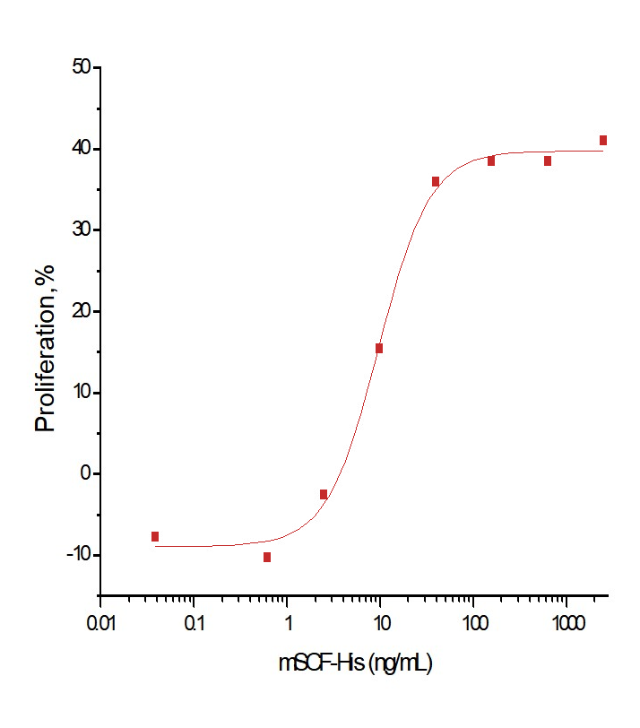 SCF Protein, Mouse, Recombinant (His)