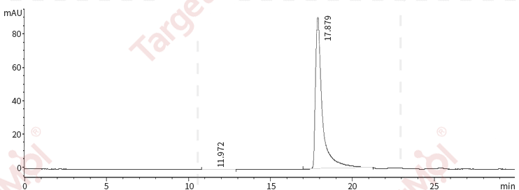 IL-21 Protein, Human, Recombinant