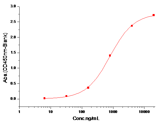 Transthyretin Protein, Human, Recombinant (His)