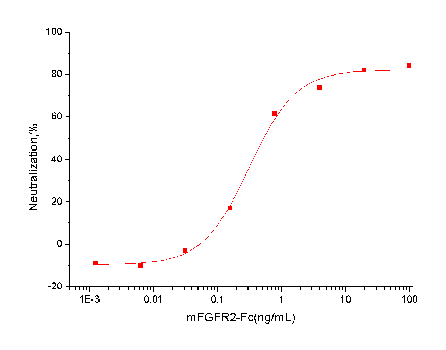 FGFR2 Protein, Mouse, Recombinant (hFc)