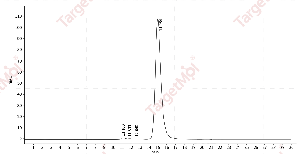 CD40 Protein, Human, Recombinant (His)