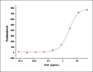 HGF Protein, Human, Recombinant