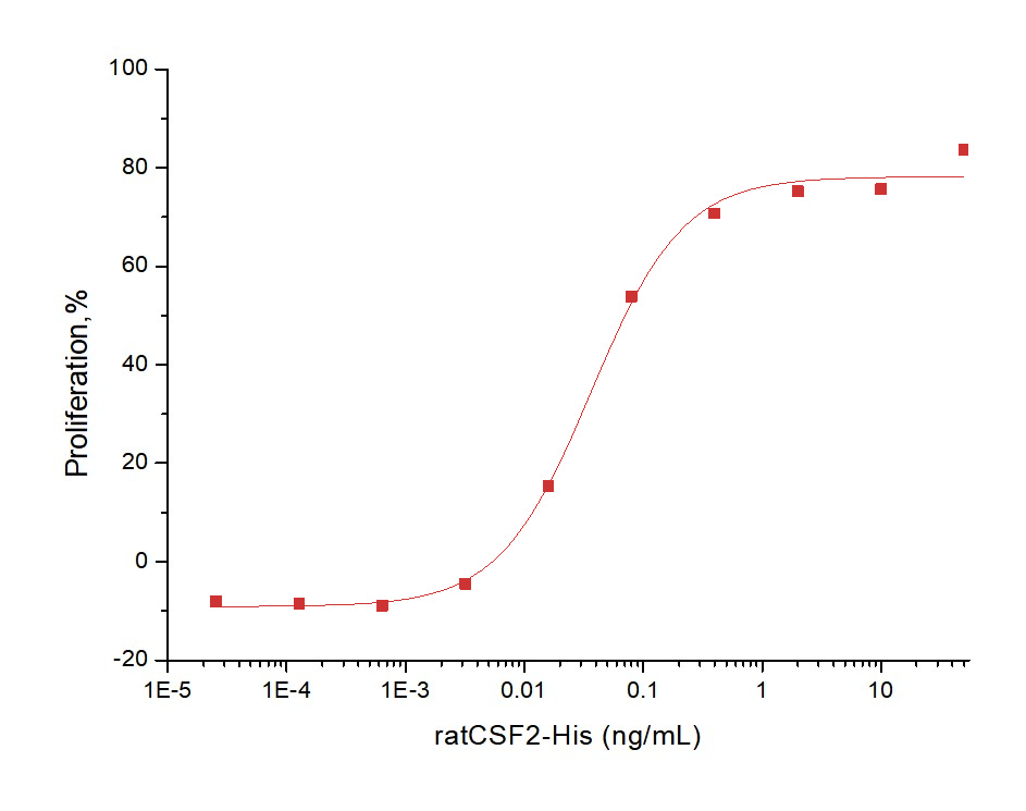 GM-CSF/CSF2 Protein, Rat, Recombinant (His)