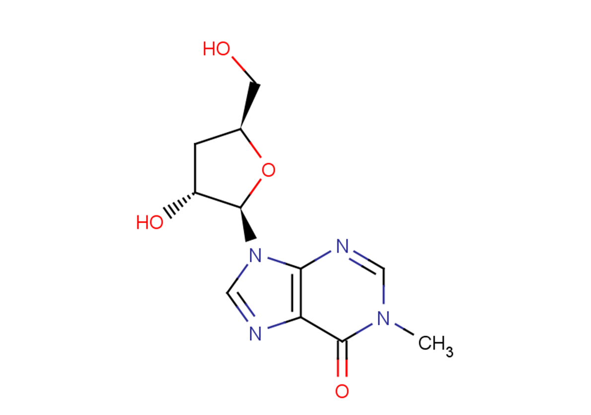 3'-Deoxy-N1-Methyl   inosine