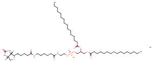 1,2-Dipalmitoyl-sn-glycero-3-PE-N-(cap biotin) (sodium salt)