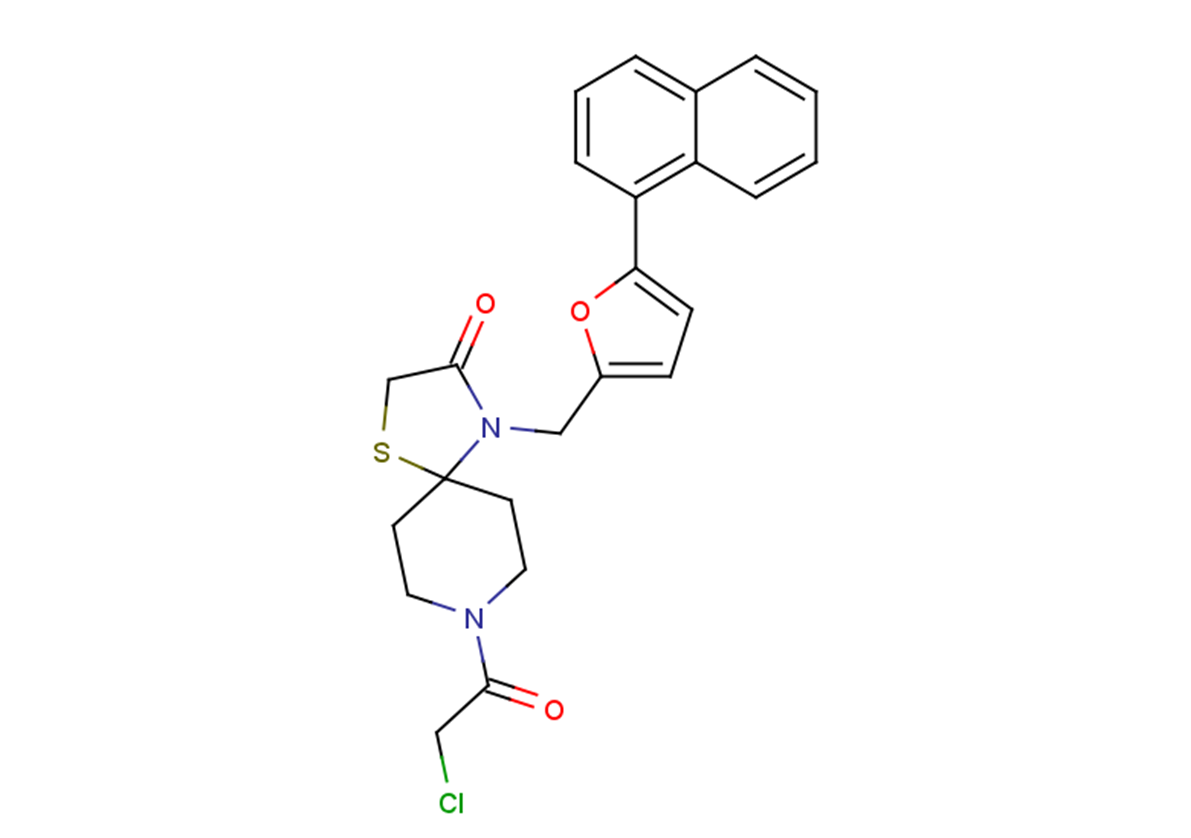 ZL-Pin13