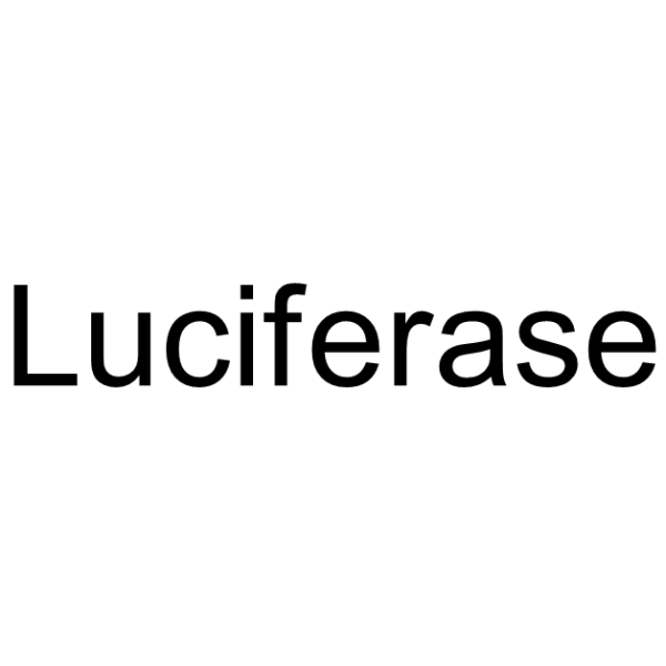 Luciferase