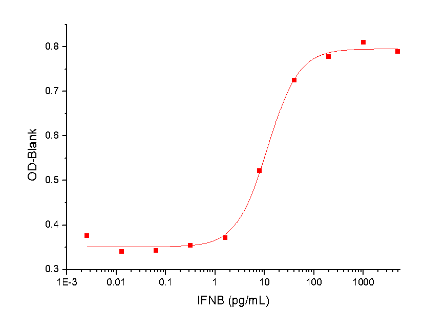 IFN-beta Protein, Human, Recombinant