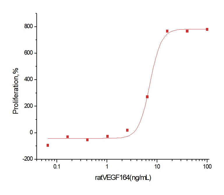 VEGF164 Protein, Rat, Recombinant