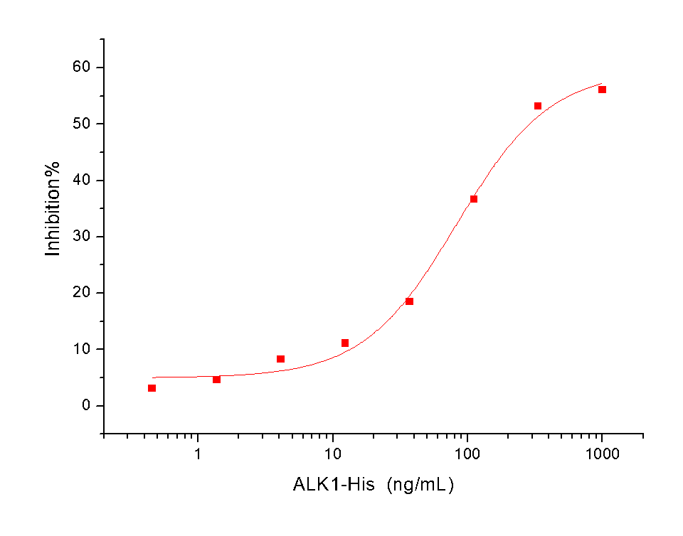 ALK-1 Protein, Human, Recombinant (His)