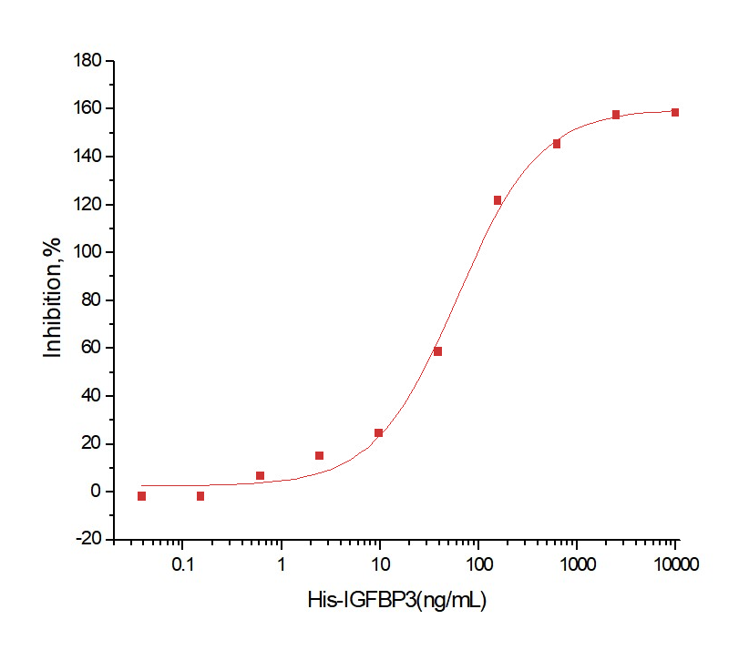 IGFBP-3 Protein, Human, Recombinant (His)