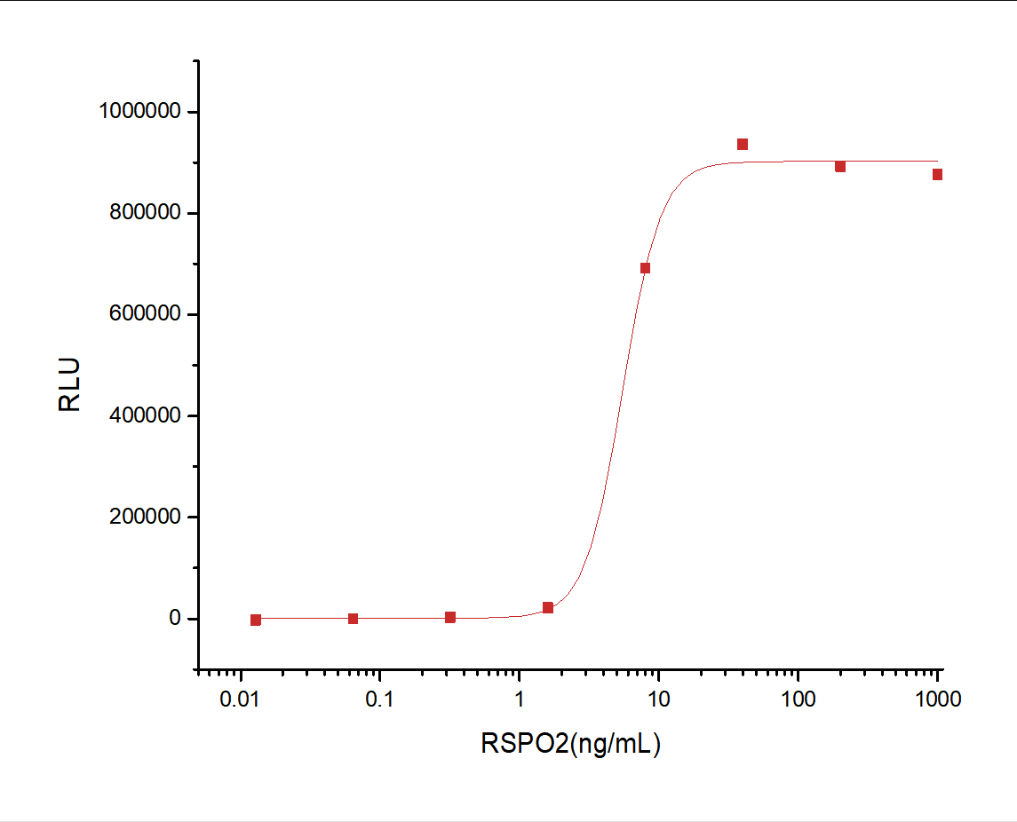 R-Spondin 2/RSPO2 Protein, Human, Recombinant (hFc)