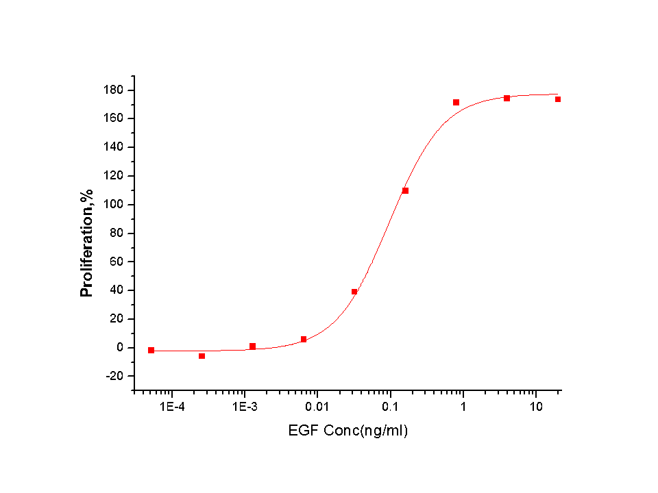 EGF Protein, Human, Recombinant