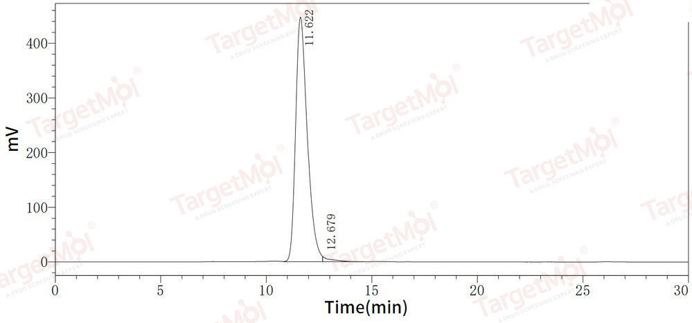 FOLR1 Protein, Human, Recombinant (hFc)