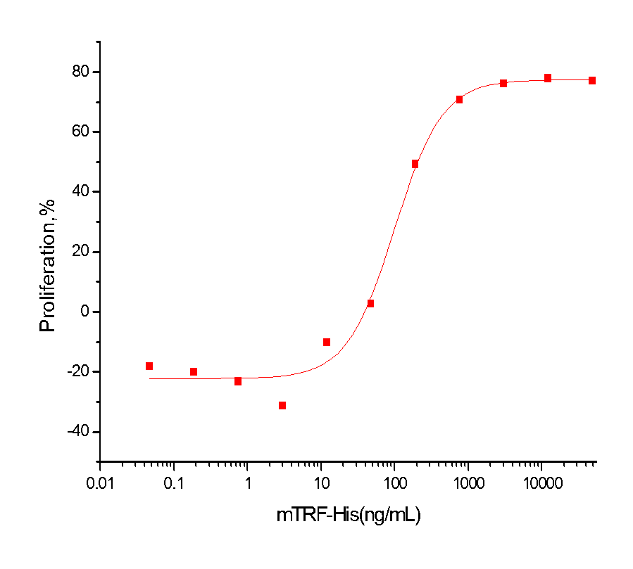 Transferrin Protein, Mouse, Recombinant (His)