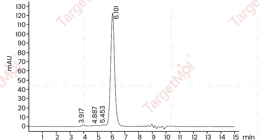 ST2/IL-1 RL1 Protein, Human, Recombinant (His)