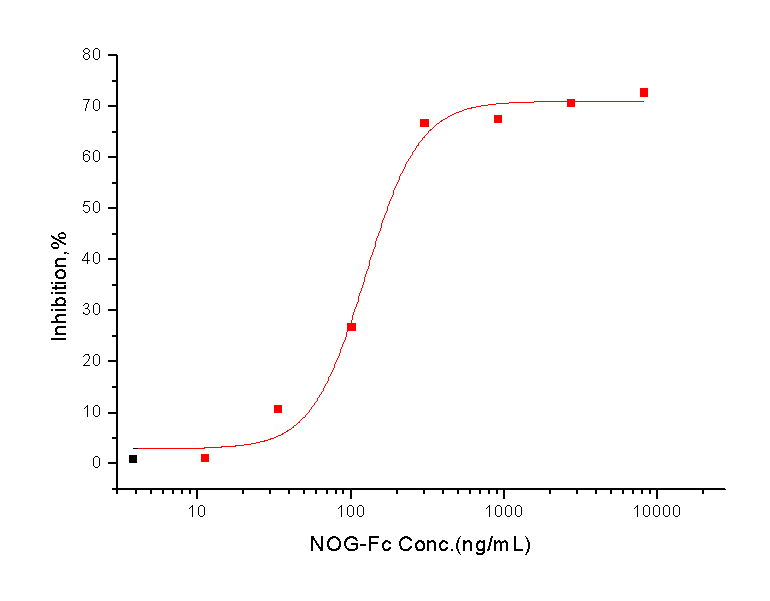 Noggin/NOG Protein, Human, Recombinant (hFc)