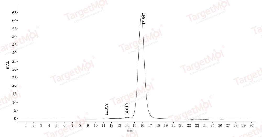 EpCAM/TROP1 Protein, Human, Recombinant (His & Avi), Biotinylated