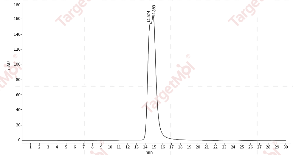 CD4 Protein, Human, Recombinant (His)