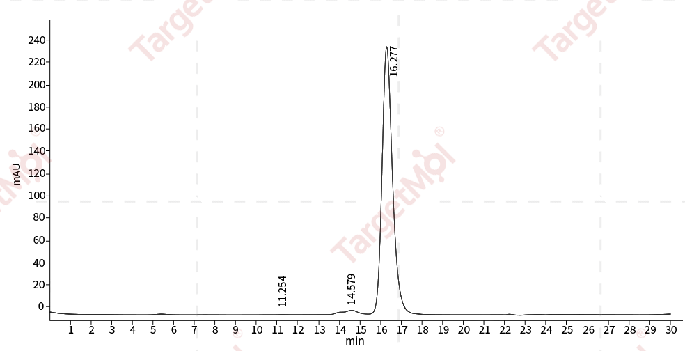 IL-12 Protein, Human, Recombinant