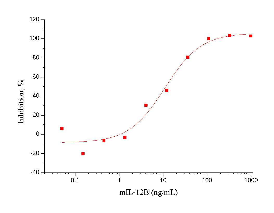 IL-12B Protein, Mouse, Recombinant (His)