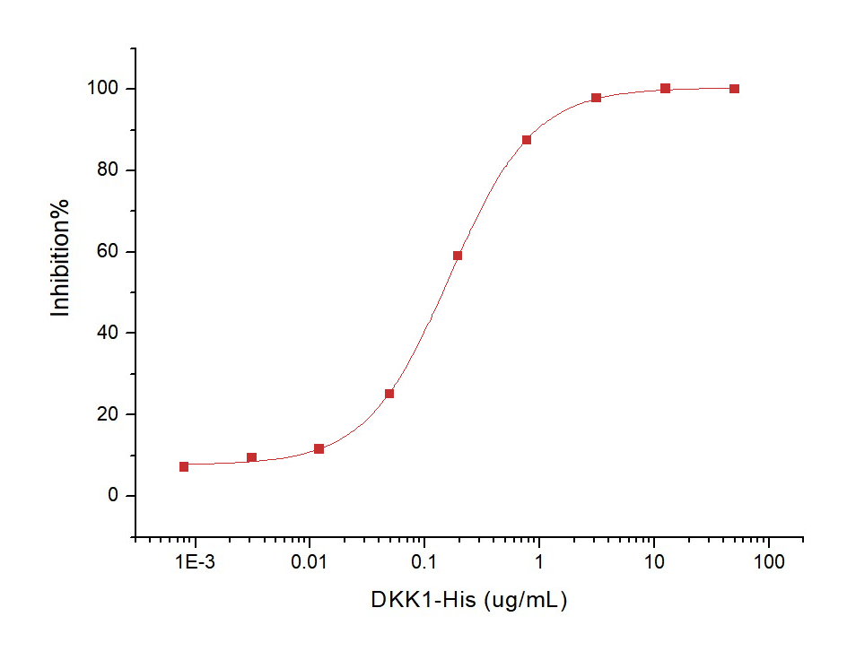 DKK1 Protein, Human, Recombinant (His)