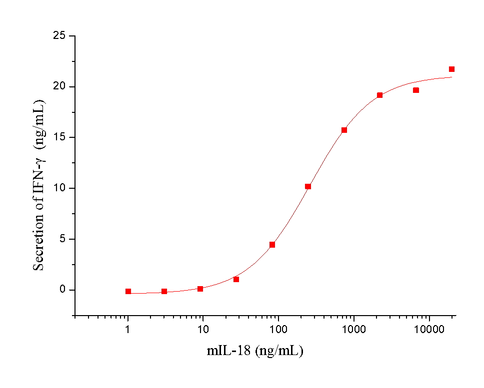 IL-18 Protein, Mouse, Recombinant