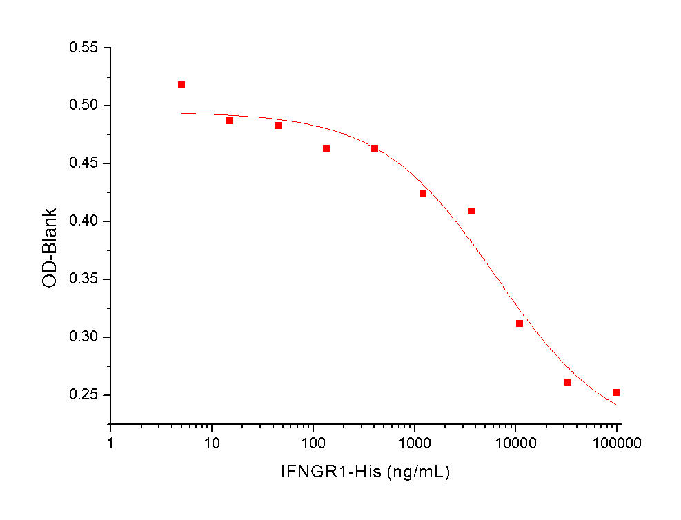 IFNGR1 Protein, Human, Recombinant (His)