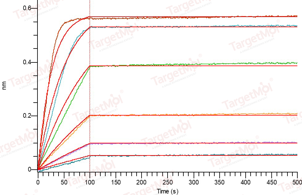 RANKL/TNFSF11/CD254 Protein, Human, Recombinant (E. coli)
