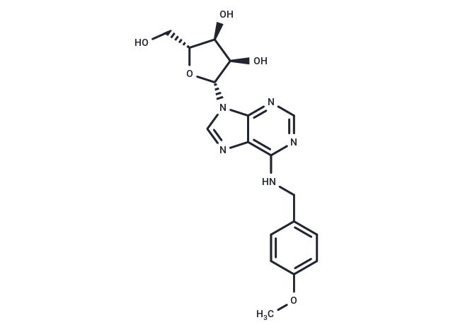 N6-(p-Methoxybenzyl)adenosine
