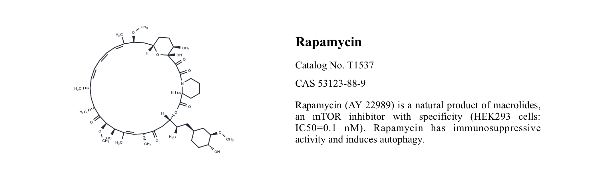 WIKIMOLE—Bafilomycin A1 & Rapamycin