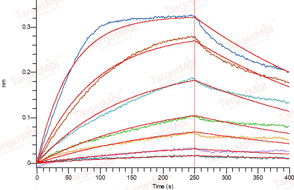 IFN-alpha 2b/IFNA2 Protein, Human, Recombinant