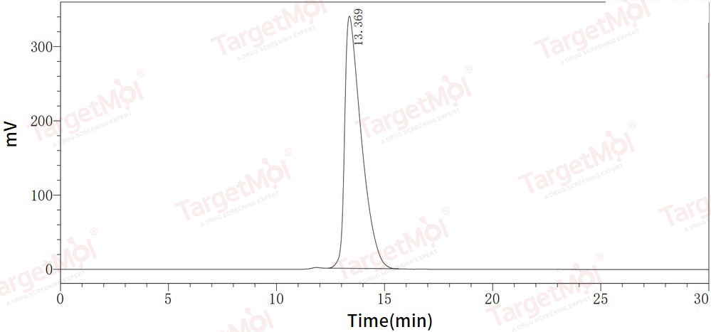 IFN-alpha 2b/IFNA2 Protein, Human, Recombinant